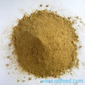 Cám Gạo Ấn Độ