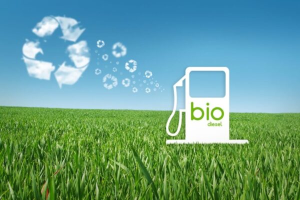 biodiesel
