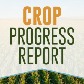 Crop Progress