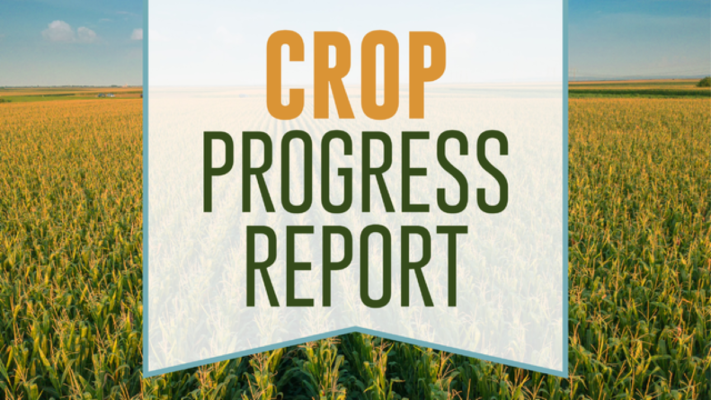Crop Progress